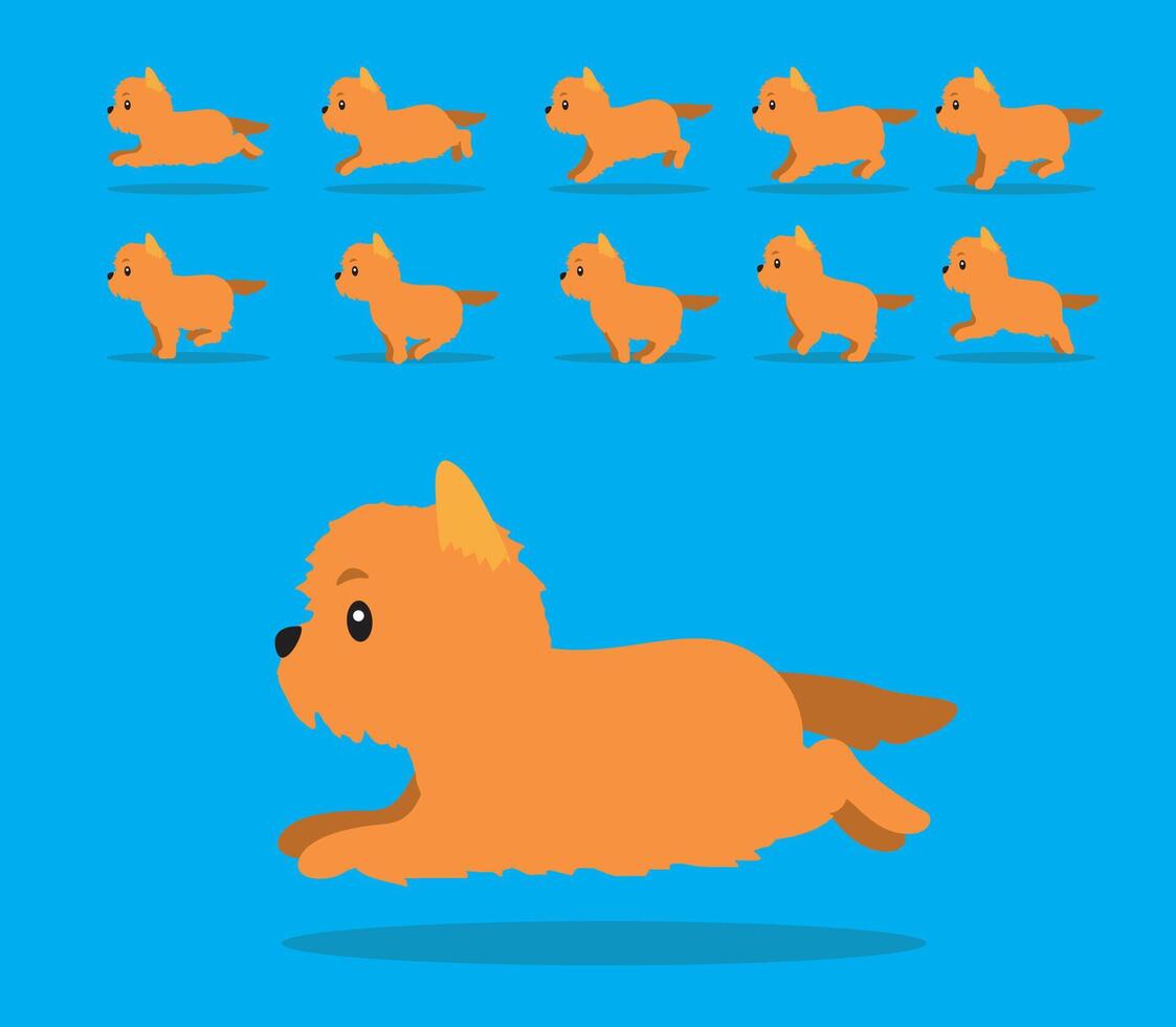 Animal Animation Sequence Dog Yorkshire Terrier Cartoon One Color vector