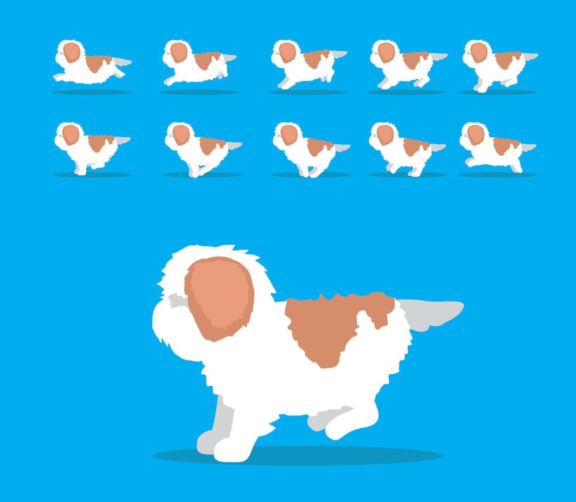 Animal Animation Sequence Dog Shih Tzu Cartoon vector