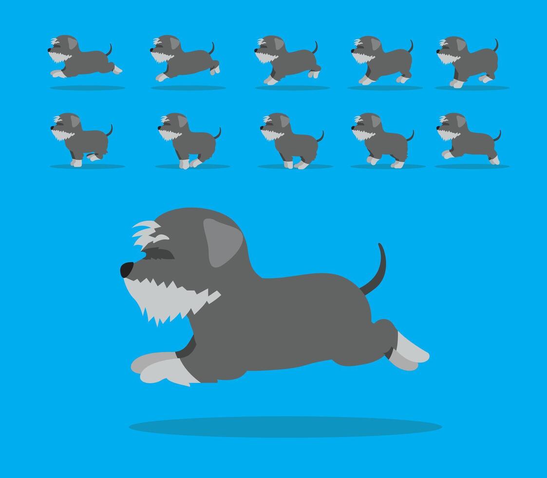 Animal Animation Sequence Dog Schnauzer Cartoon Grey Coat vector
