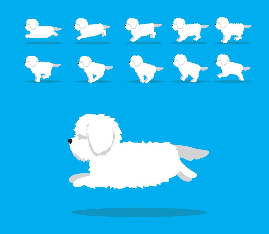 Animal Animation Sequence Dog Lhasa Apso Cartoon vector