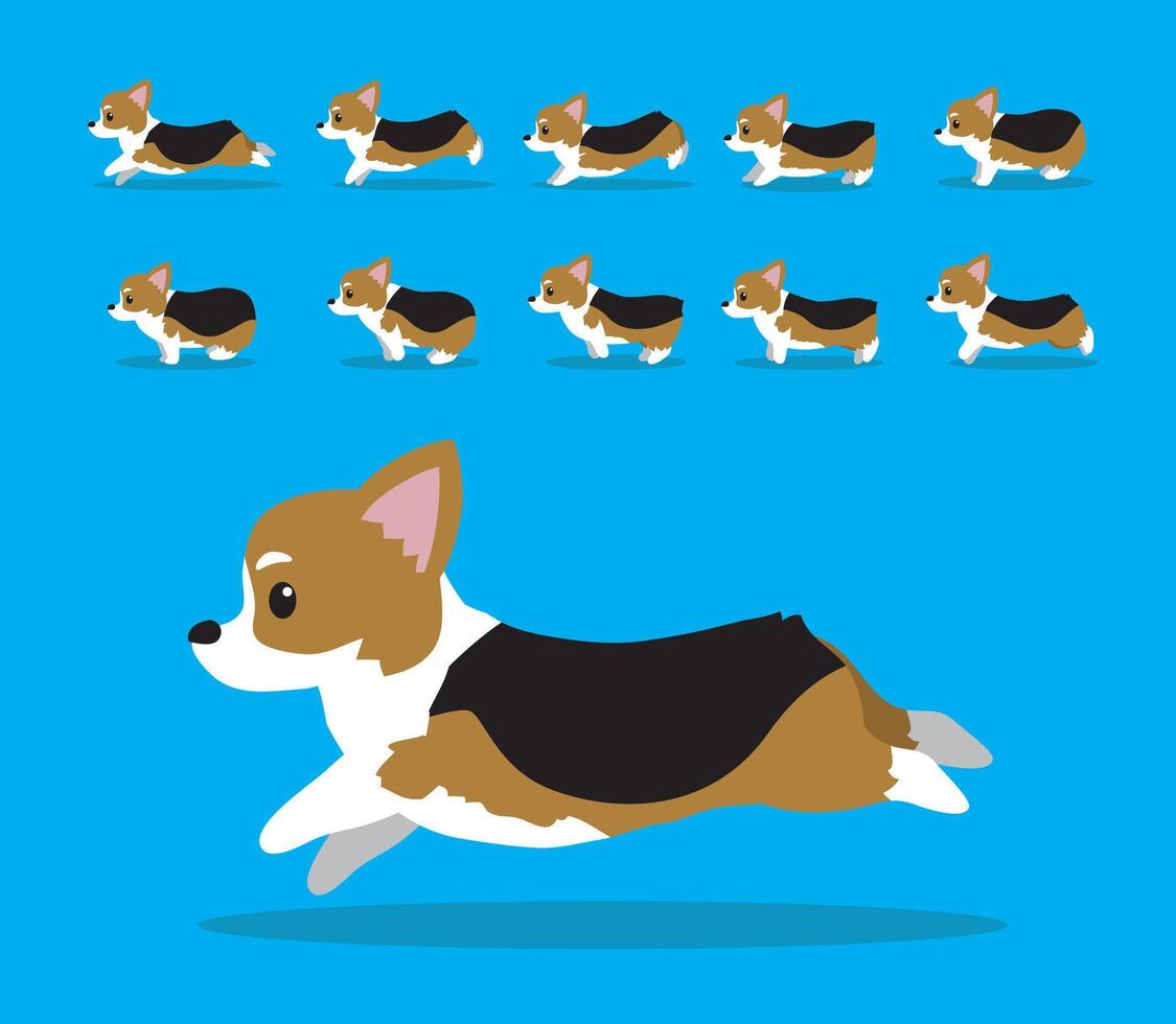 Animal Animation Sequence Dog Pembroke Welsh Corgi Cartoon Brown Black Bicolor vector