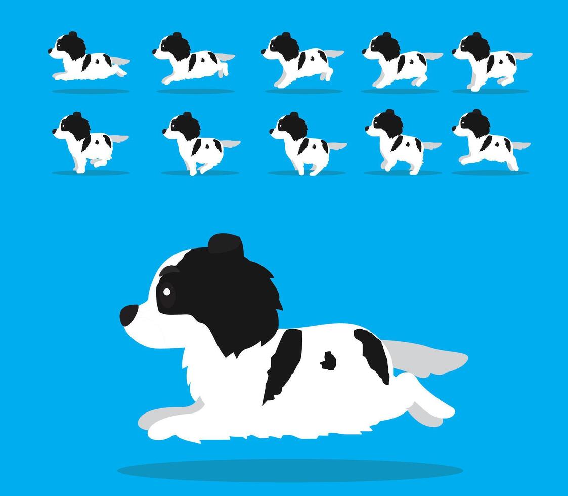 Animal Animation Sequence Dog Tornjak Cartoon vector