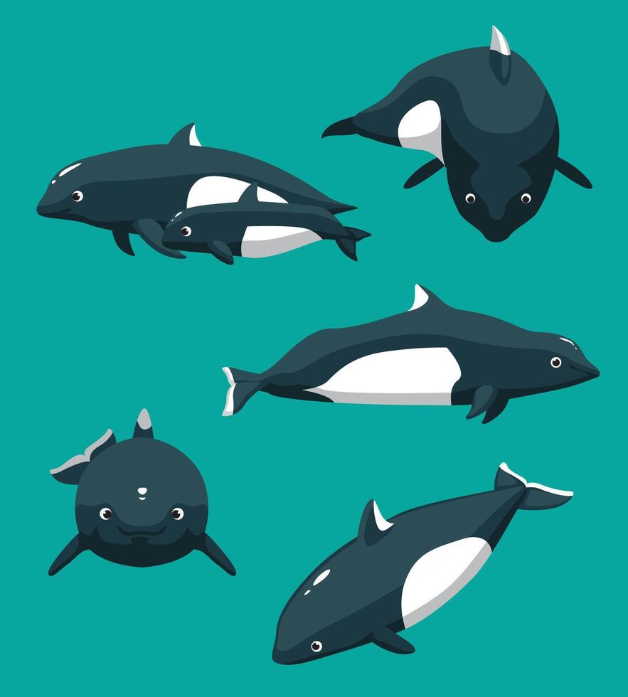 Cute Dall's Porpoise Poses Set Cartoon vector