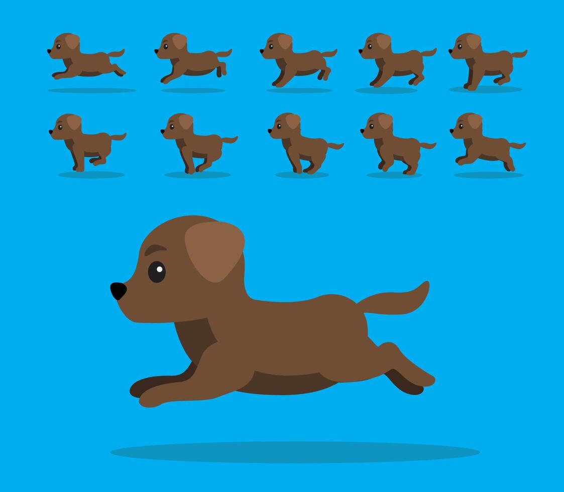 Animal Animation Sequence Dog Labrador Retriever Cartoon Brown Coat vector