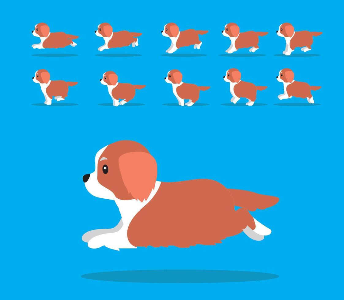 Animal Animation Sequence Dog Australian Shepherd Cartoon Brown Coat vector