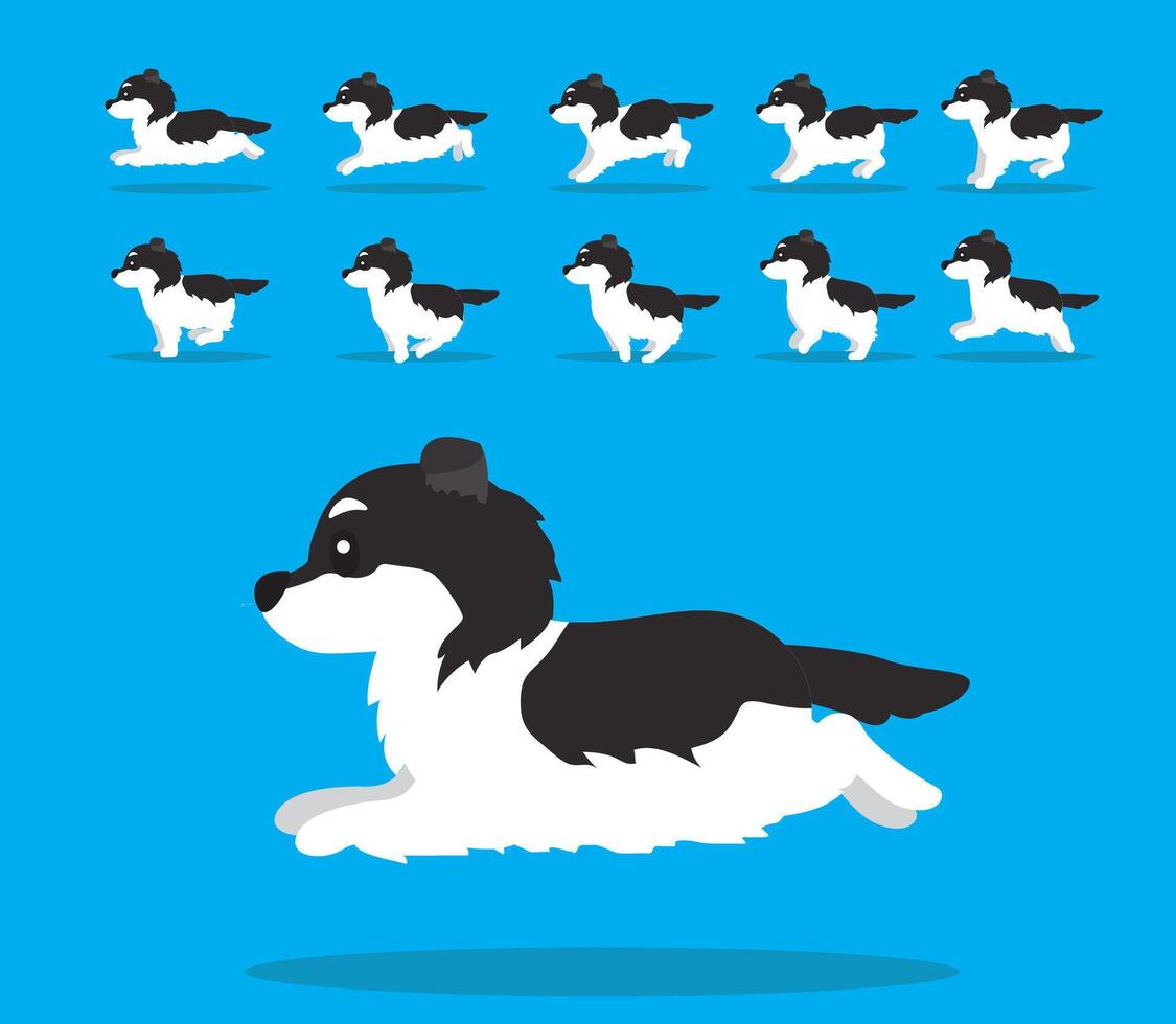 Animal Animation Sequence Dog Mucuchies Sheepdog Cartoon vector