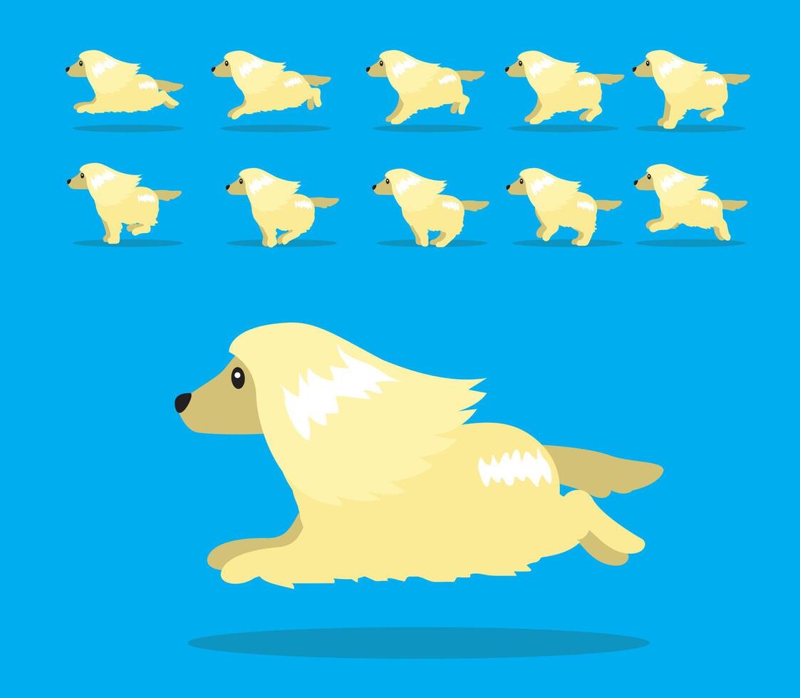 Animal Animation Sequence Dog Afghan Hound Cartoon Yellow Coat vector