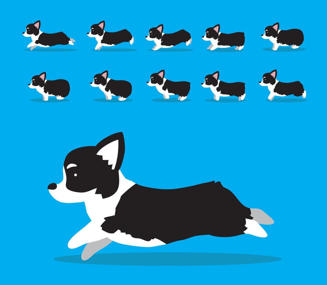 Animal Animation Sequence Dog Pembroke Welsh Corgi Cartoon Black Coat vector