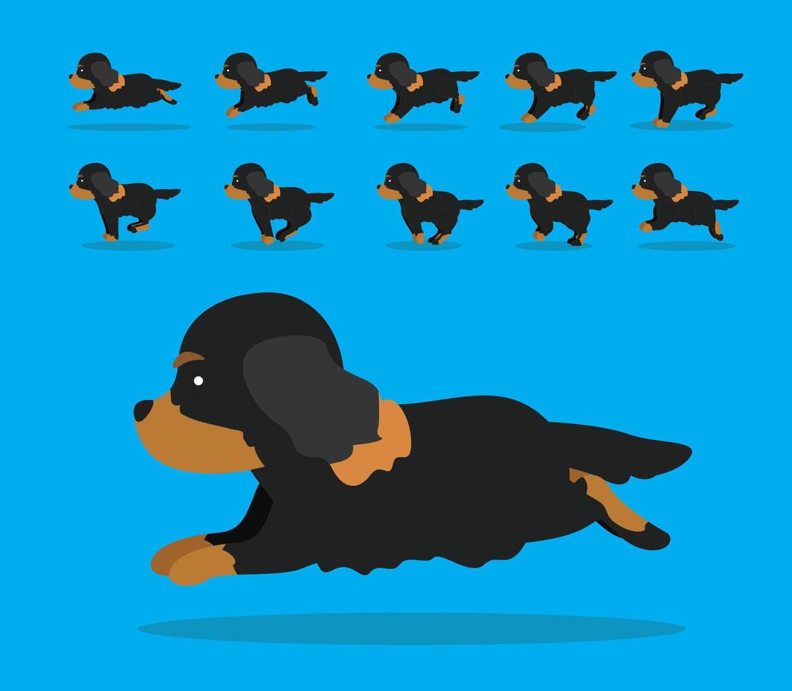 Animal Animation Sequence Dog Cocker Spaniel Cartoon Coat 1 vector