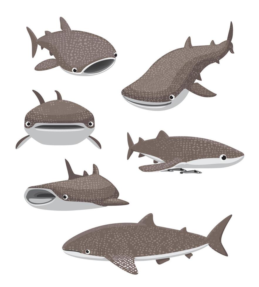 Cute Whale Shark Poses Set Cartoon vector