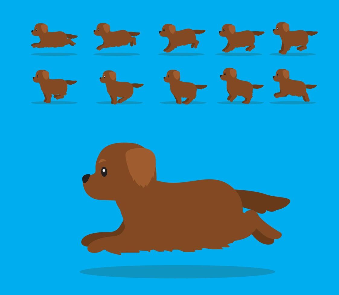 Animal Animation Sequence Dog Golden Retriever Cartoon Chocolate Coat vector
