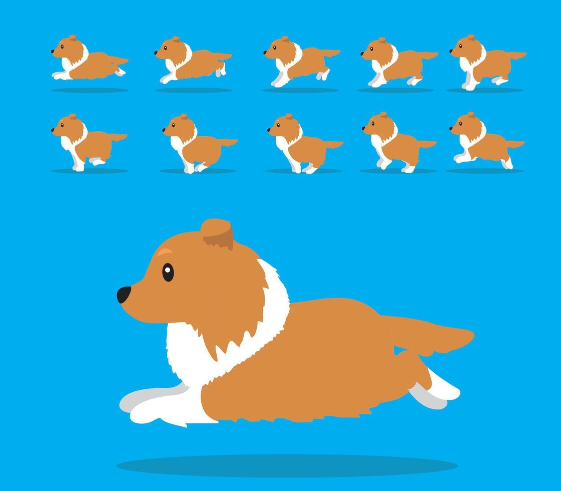 Animal Animation Sequence Dog Collie Cartoon Brown Coat vector