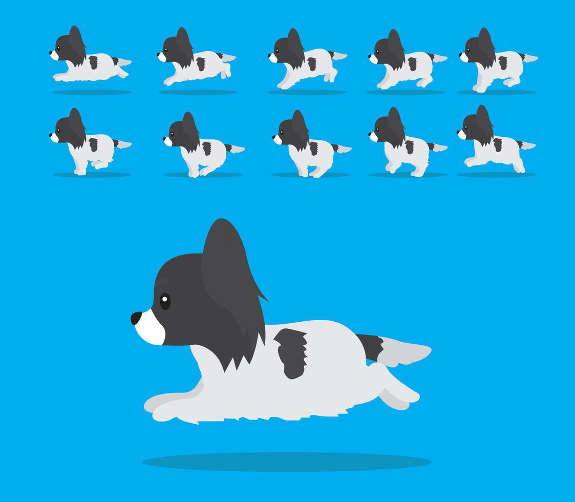 Animal Animation Sequence Dog Papillon Cartoon Black Coat vector