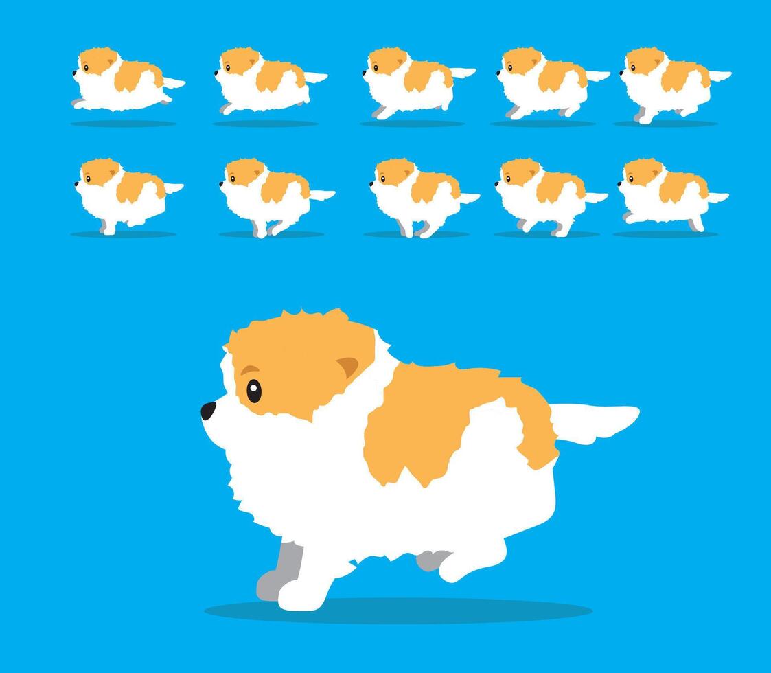 Animal Animation Sequence Dog Pomeranian Cartoon Bicolor vector