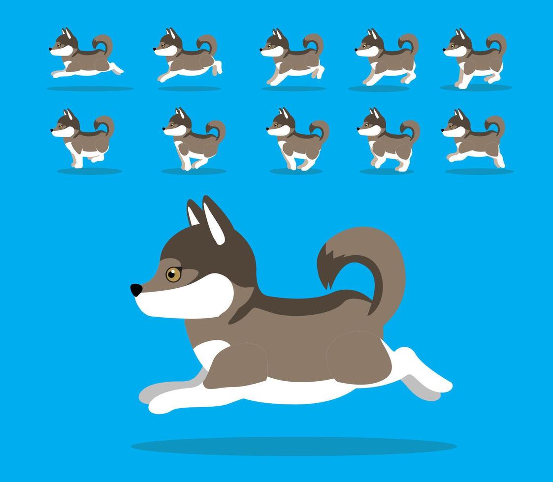 Animal Animation Sequence Dog Czech Wolfdog Cartoon vector