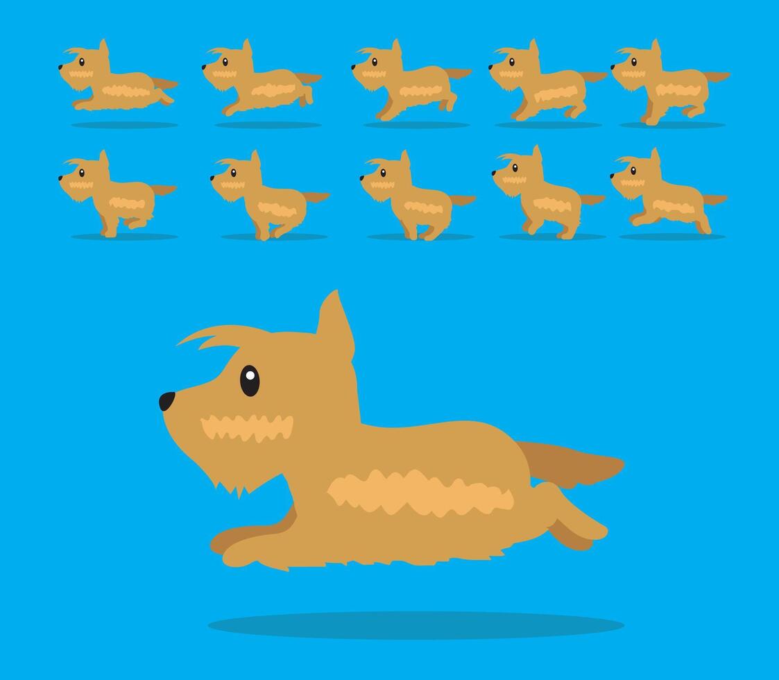 Animal Animation Sequence Dog Scottish Terrier Cartoon Gold vector