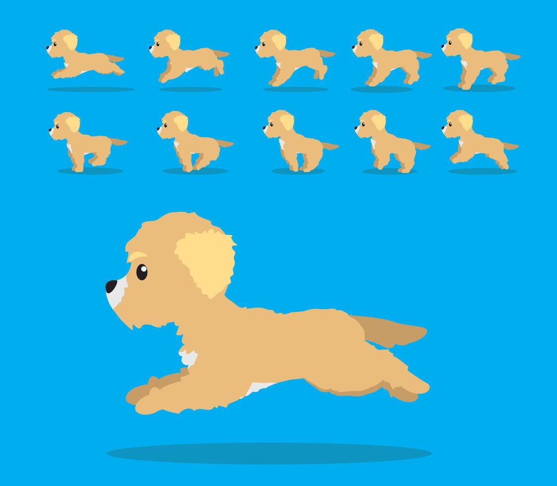 Animal Animation Sequence Dog Goldendoodle Cartoon vector