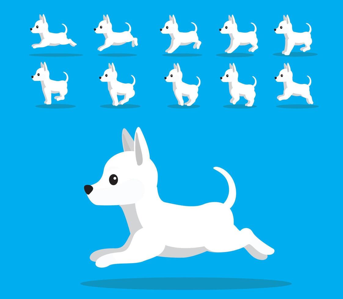 Animal Animation Sequence Dog Inca Orchid Cartoon vector