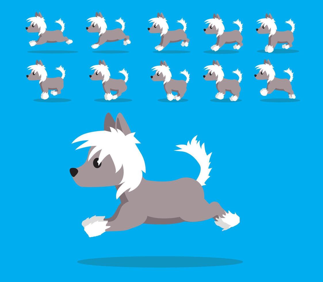 Animal Animation Sequence Dog Chinese Crested Cartoon vector