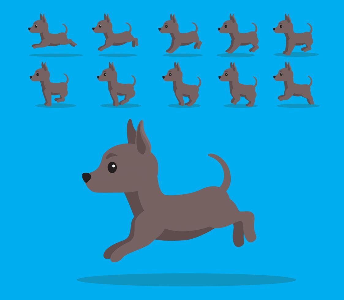 Animal Animation Sequence Dog Xoloitzcuintle Cartoon vector