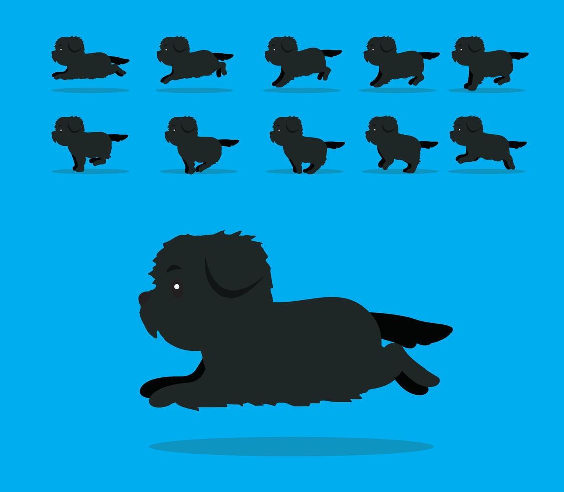 Animal Animation Sequence Dog Maltese Cartoon Black Coat vector