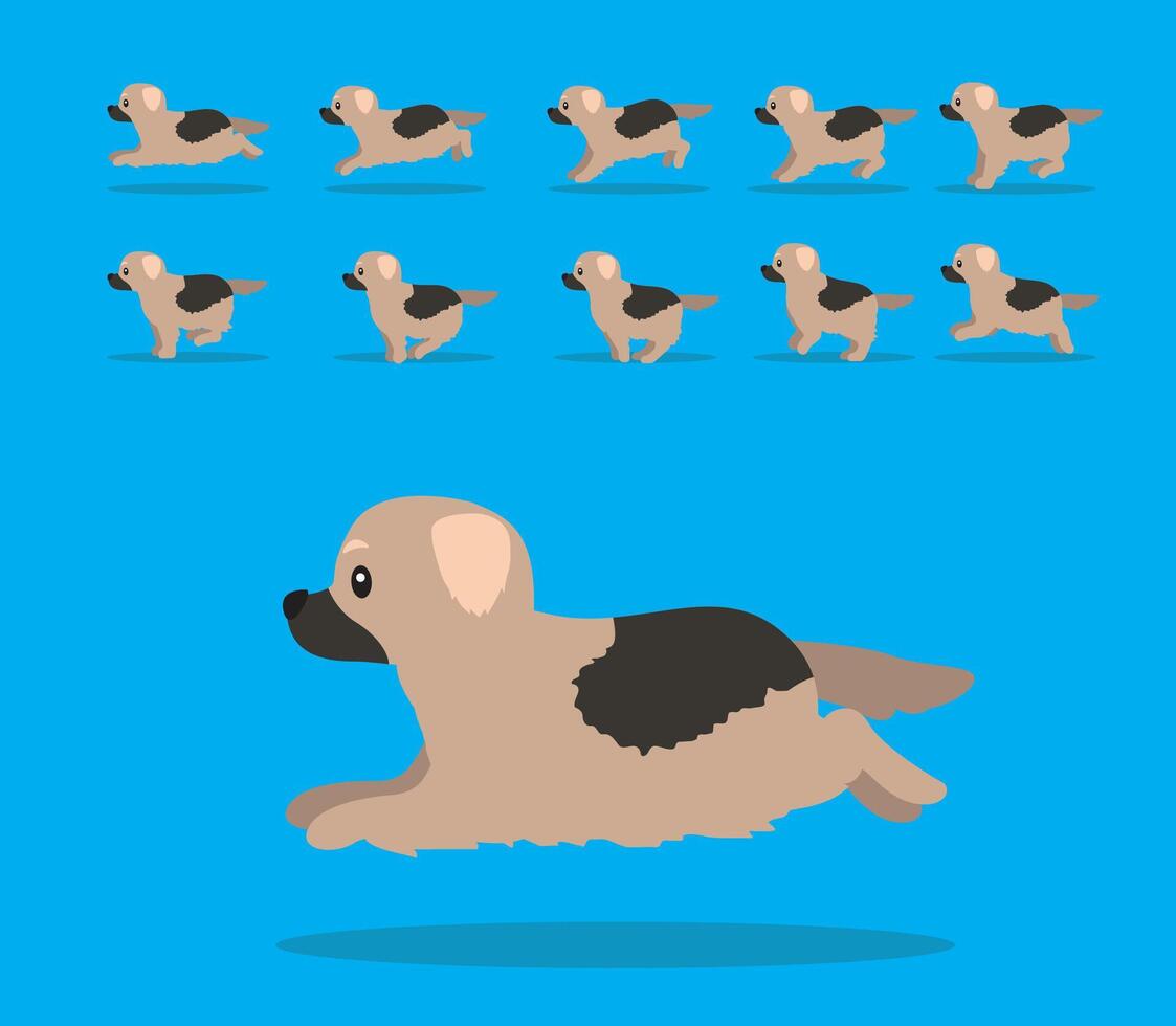 Animal Animation Sequence Dog Sarplaninac Cartoon vector