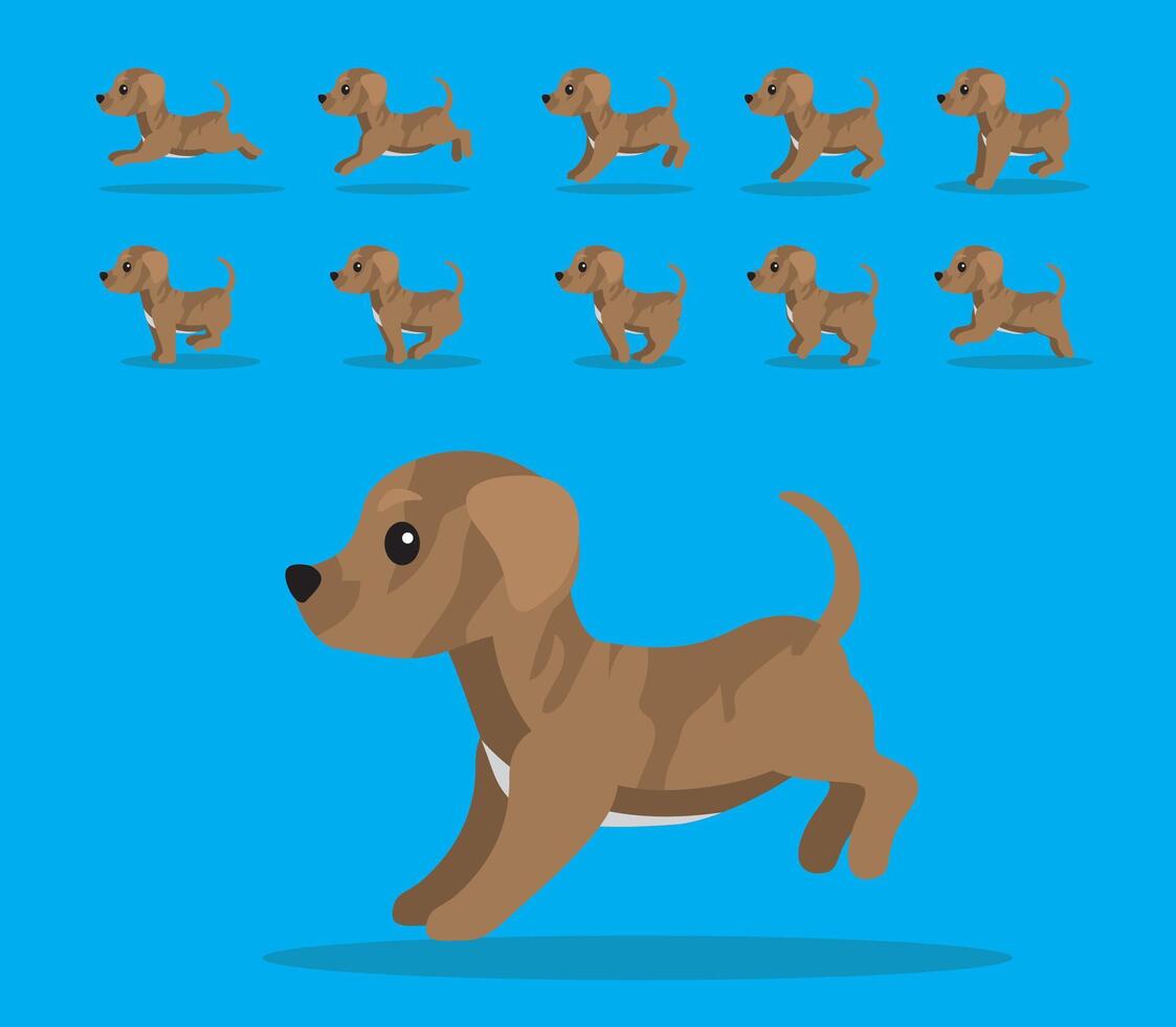 Animal Animation Sequence Dog Cimarron Uruguayo Cartoon vector