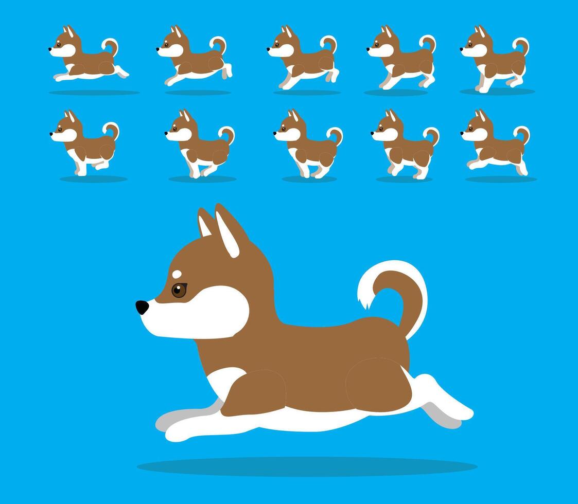 Animal Animation Sequence Dog Alaskan Malamute Cartoon Brown Coat vector