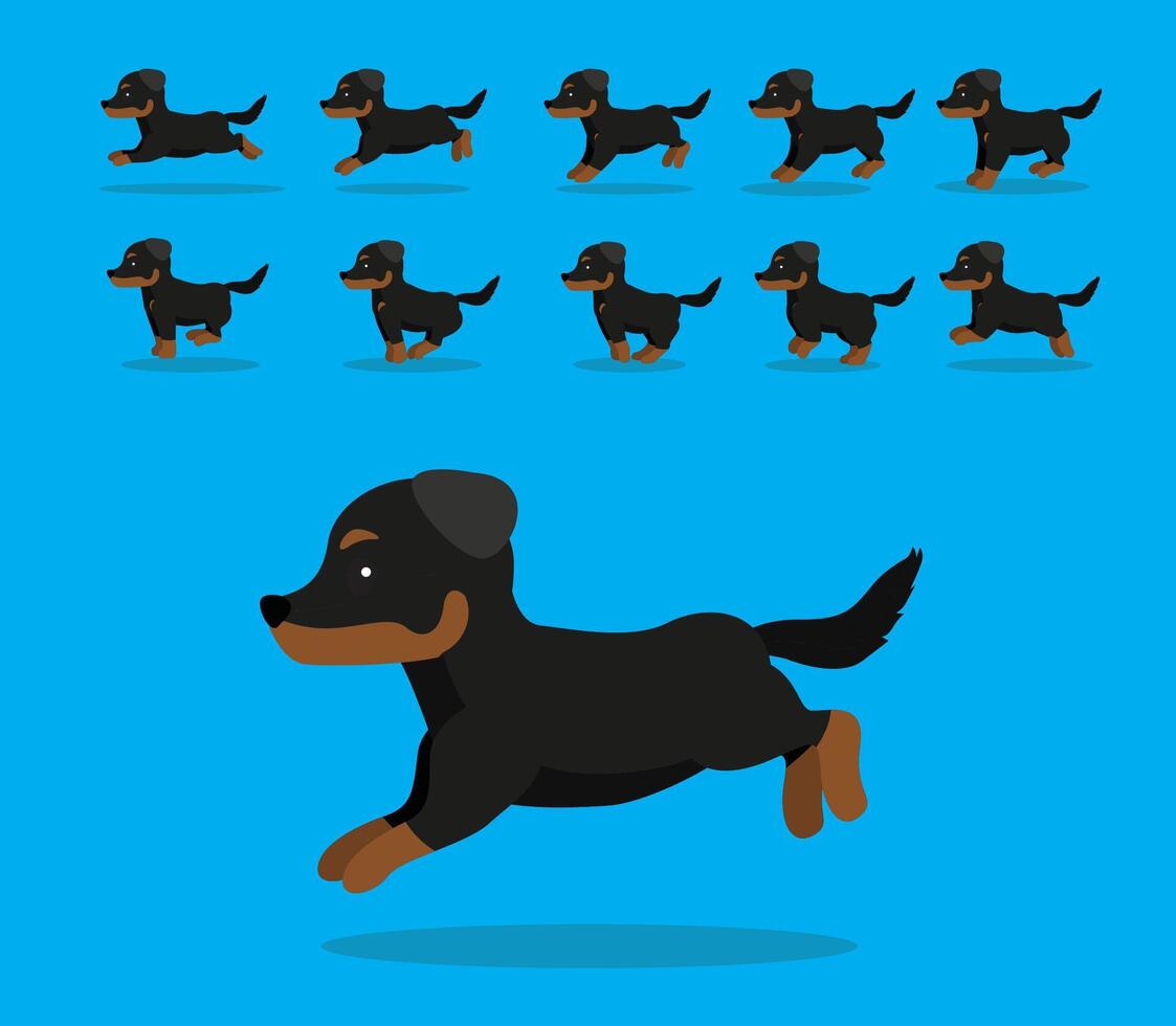 Animal Animation Sequence Dog Beauceron Cartoon vector
