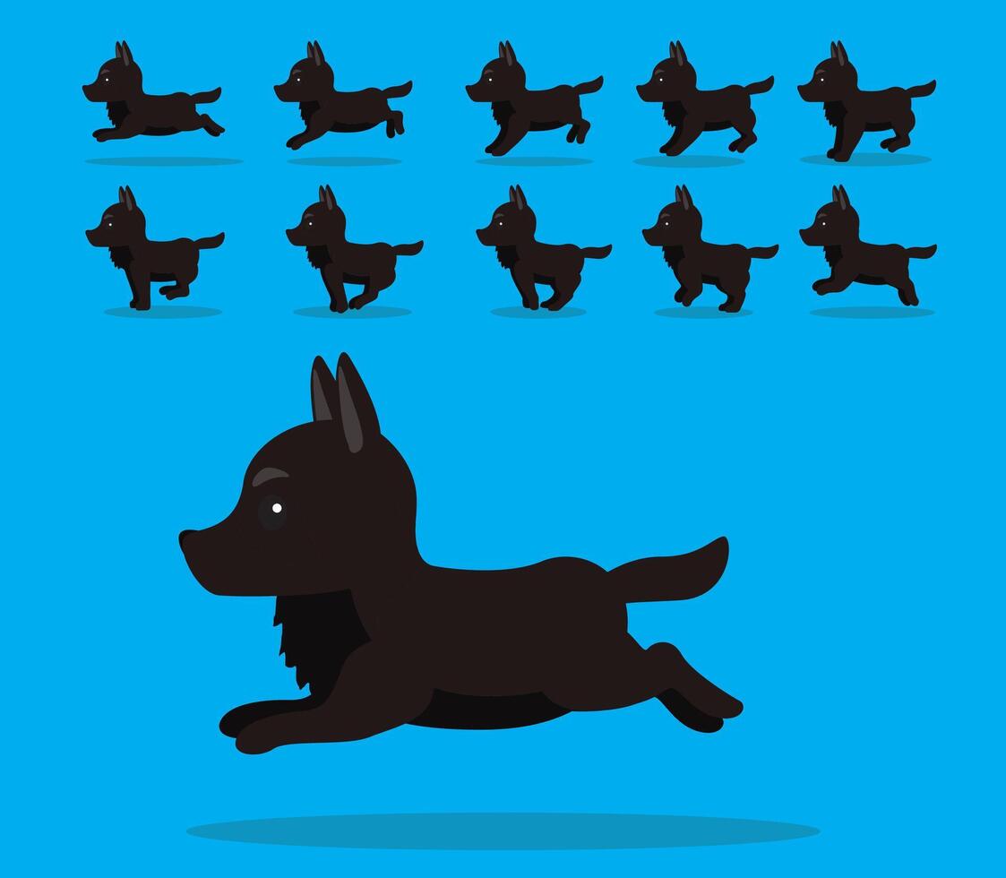 Animal Animation Sequence Dog Belgian Shepherd Cartoon vector
