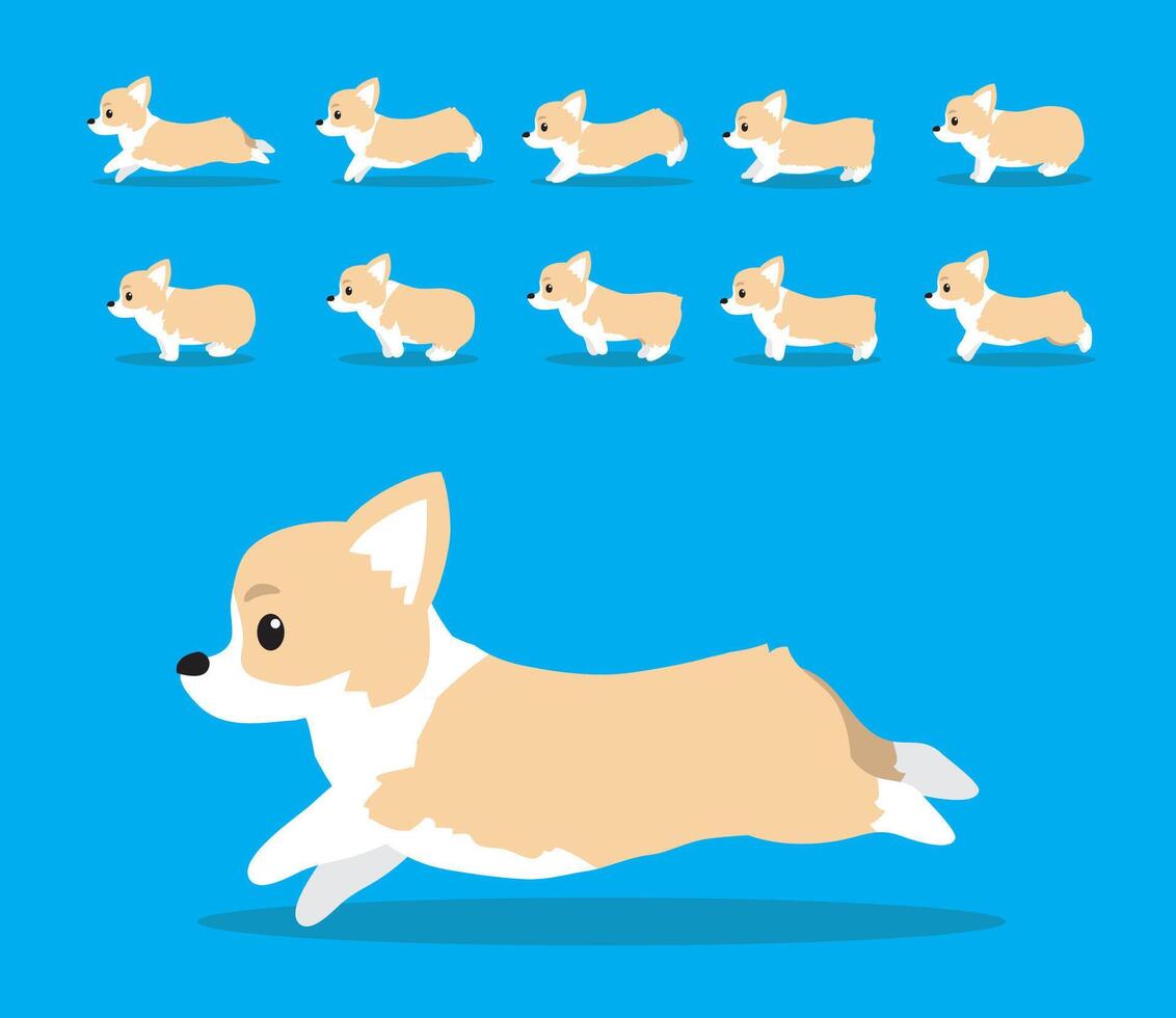Animal Animation Sequence Dog Pembroke Welsh Corgi Cartoon Cream Coat vector