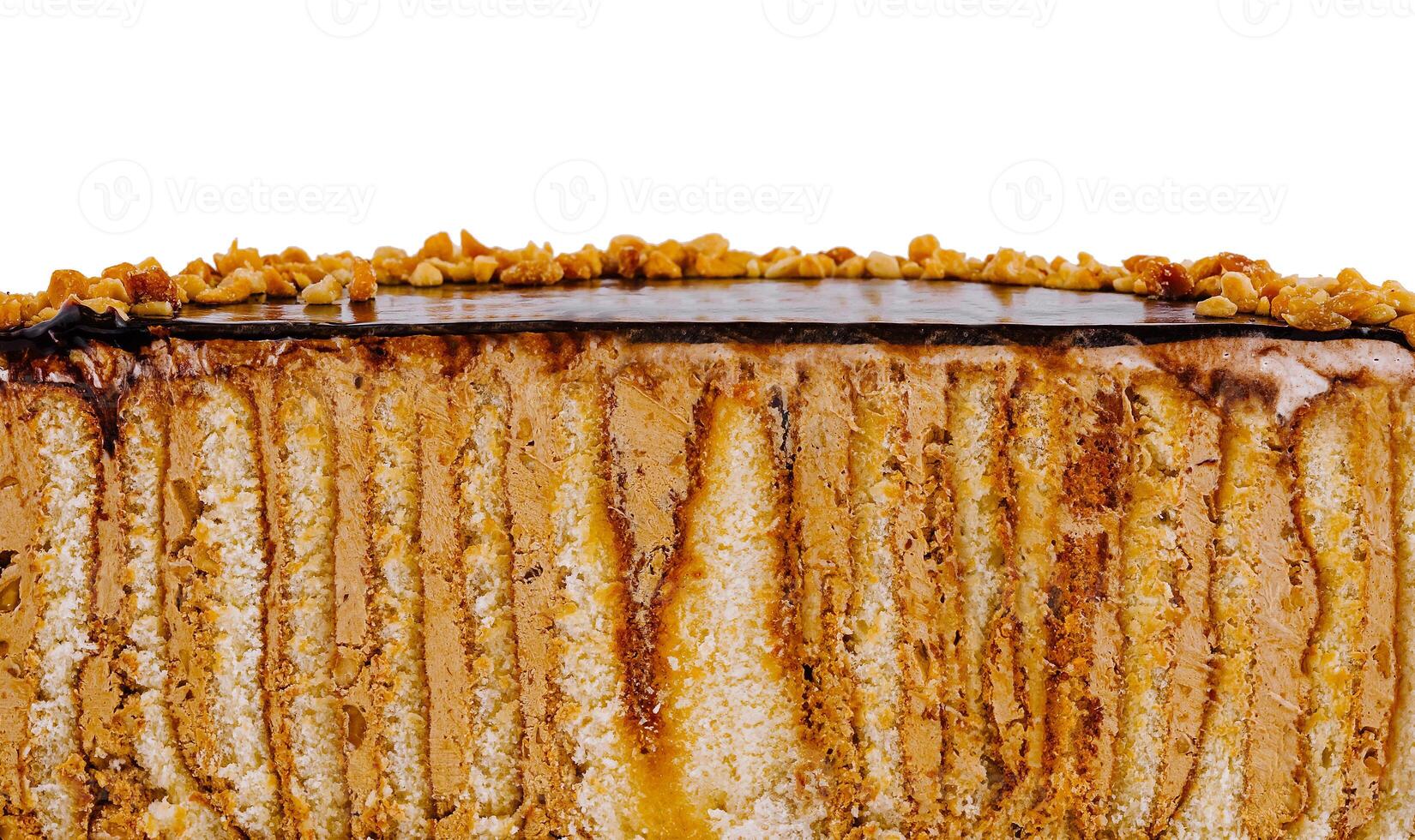 Delicious cake with nuts and chocolate icing showing its layers photo