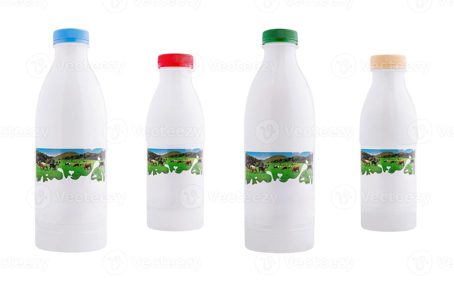Four white plastic bottles of milk with different colored caps showing cows grazing in a pasture photo