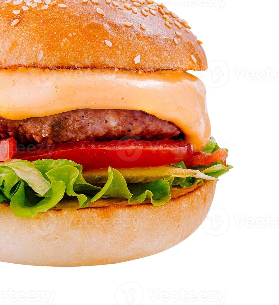 Delicious burger with lettuce, tomato, beef and cheese is waiting on white background photo