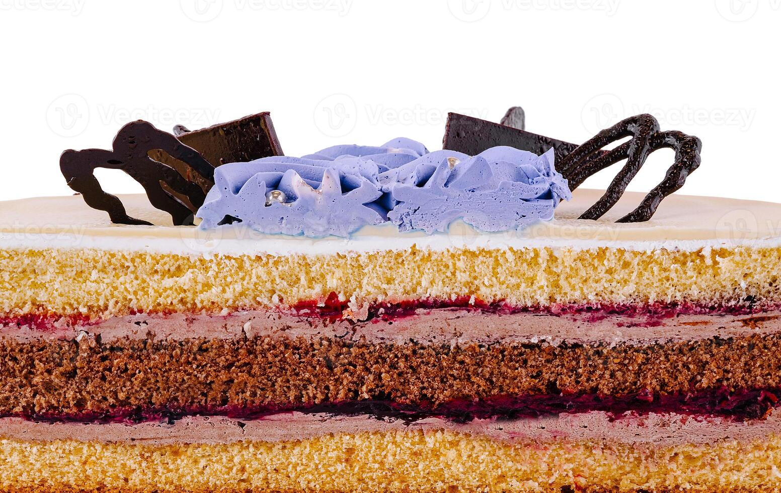 Delicious cake layers showing filling and frosting photo