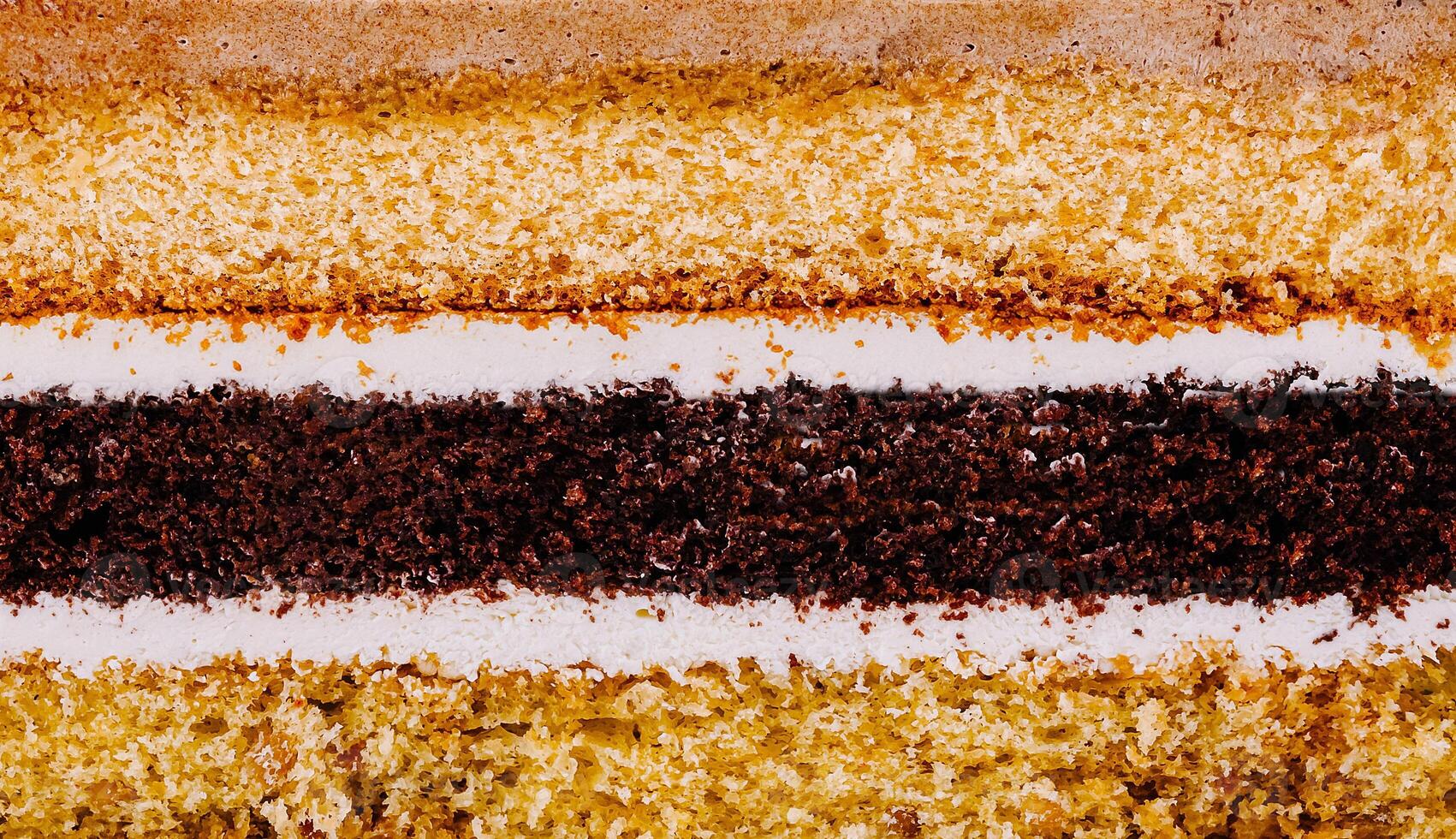 Delicious layered cake with white frosting showing its texture photo