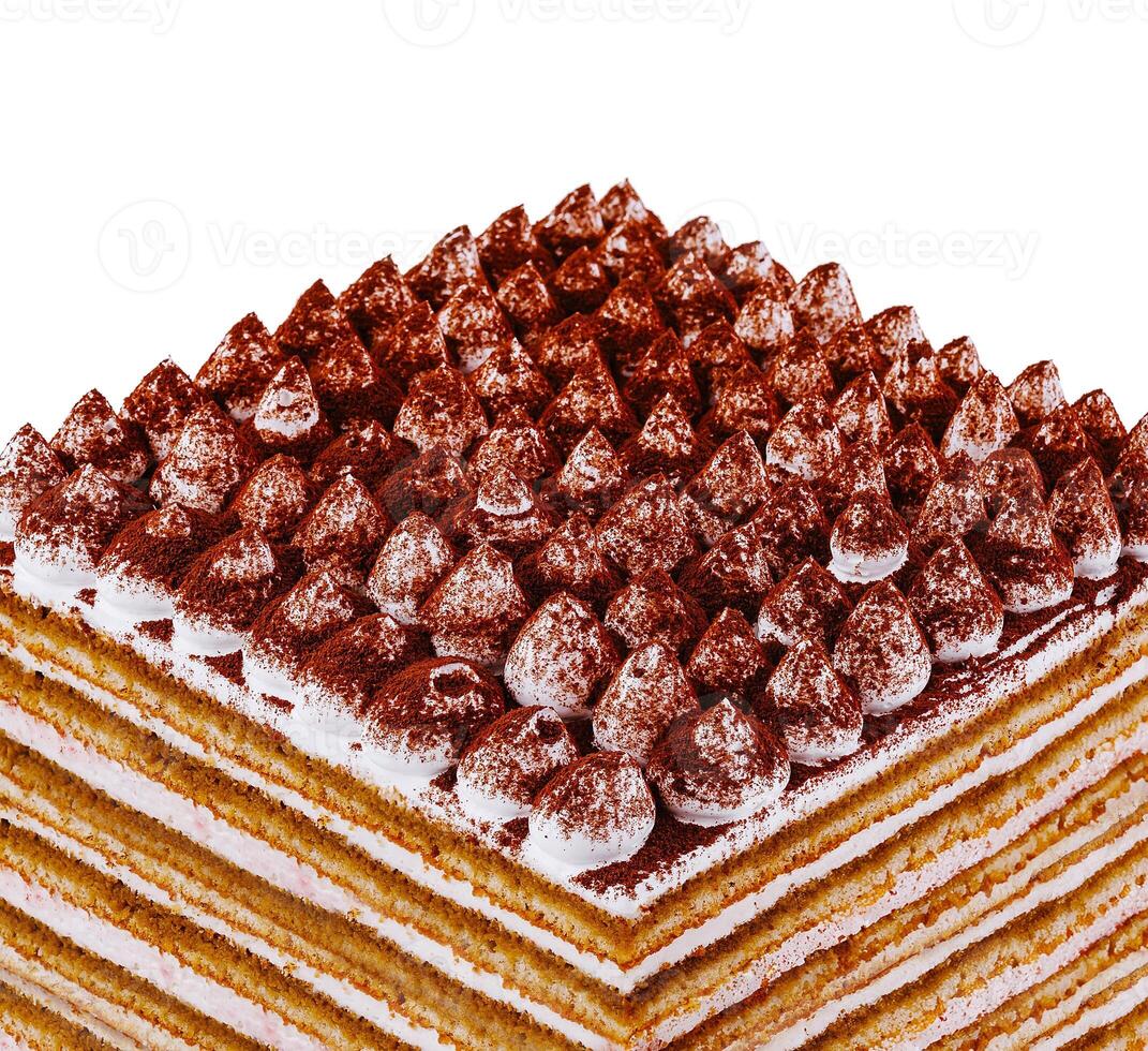 Delicious tiramisu cake with cocoa powder on white background photo