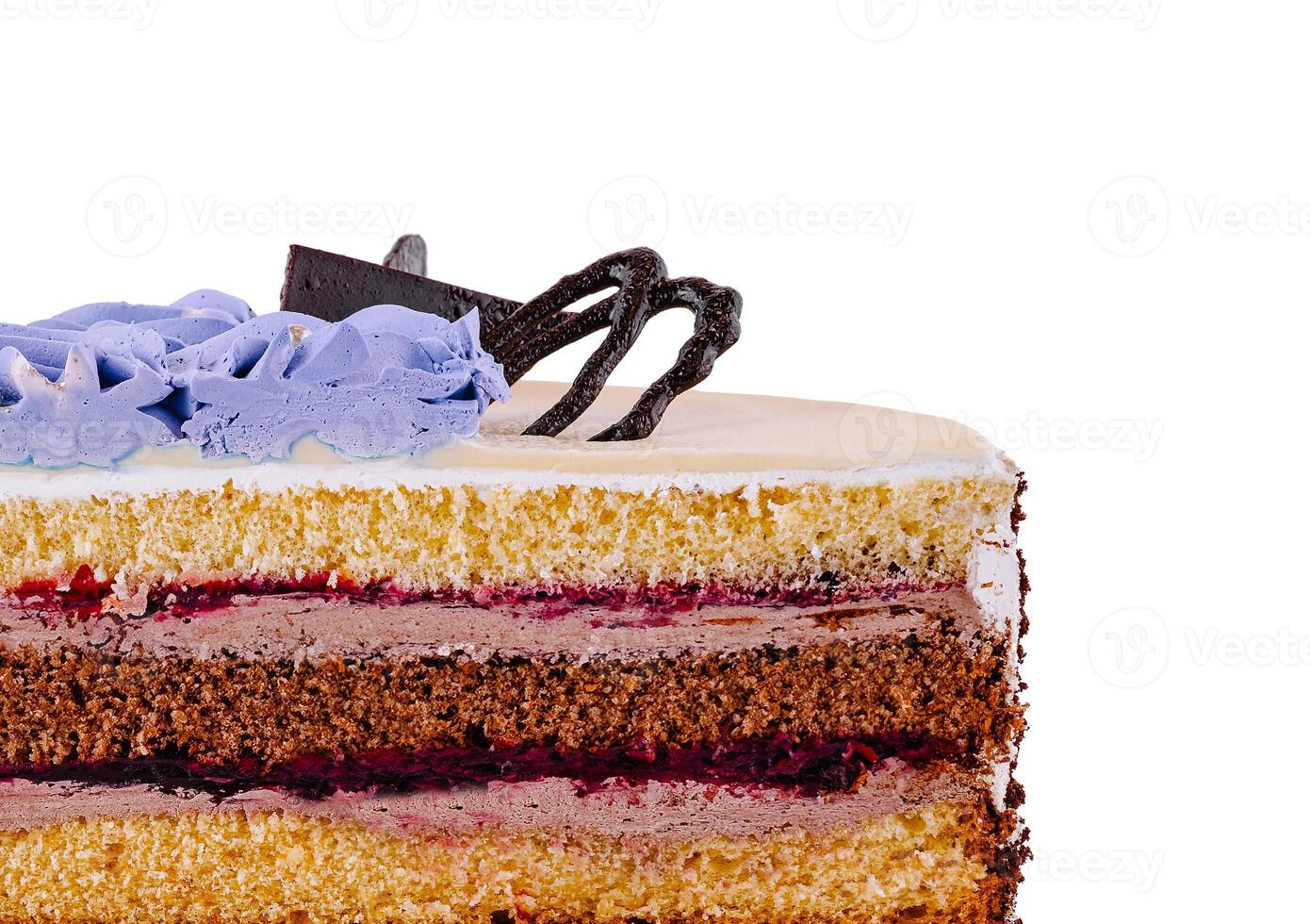 Delicious cake layers showing filling and frosting photo