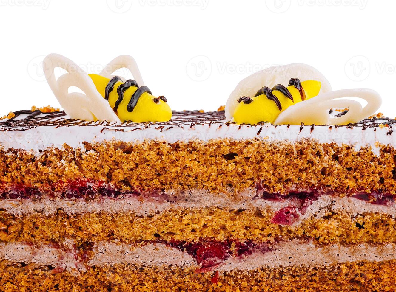 Delicious cake showing layers decorated with chocolate and marzipan bees photo