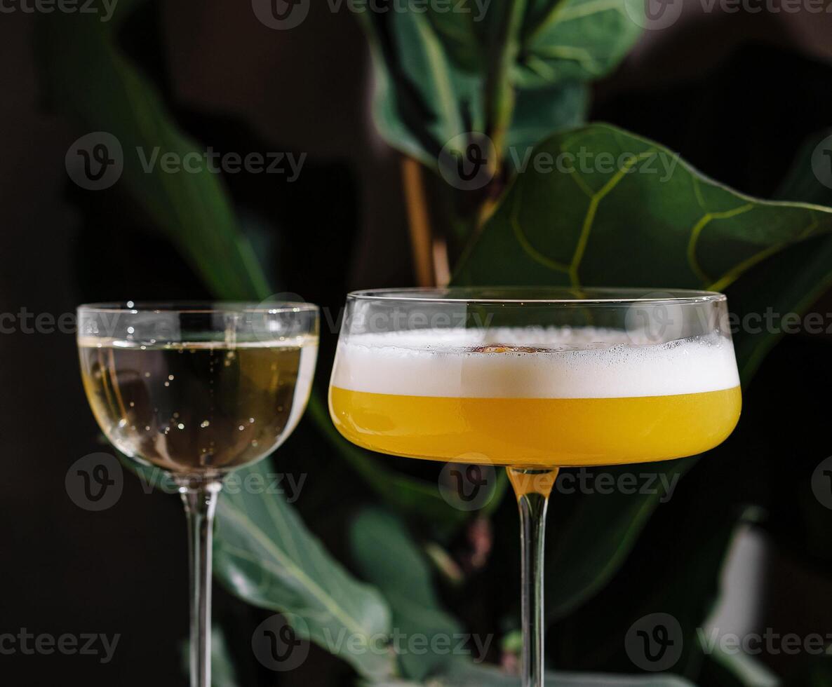 Two elegant cocktails standing on table in front of plant photo