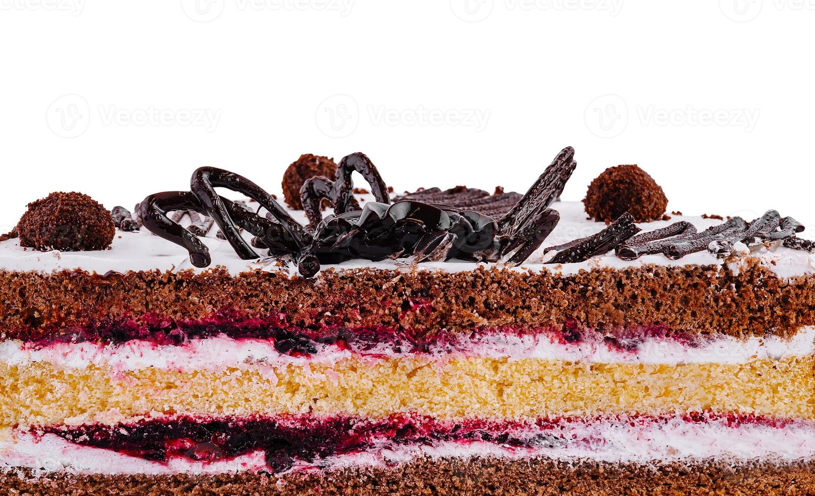 Delicious chocolate cake slice decorated with chocolate chips on white background photo