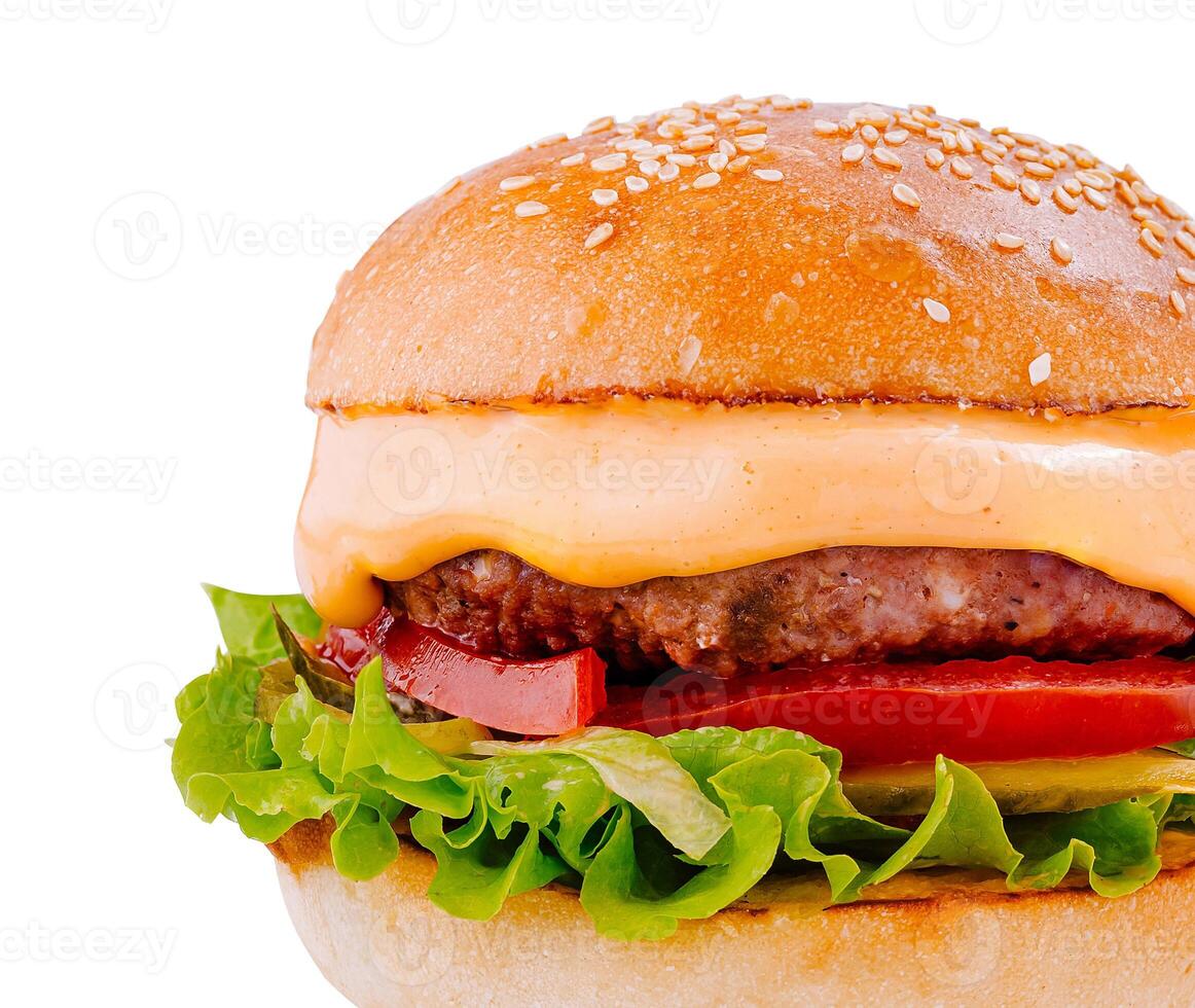 Delicious burger with lettuce, tomato, beef and cheese is waiting on white background photo