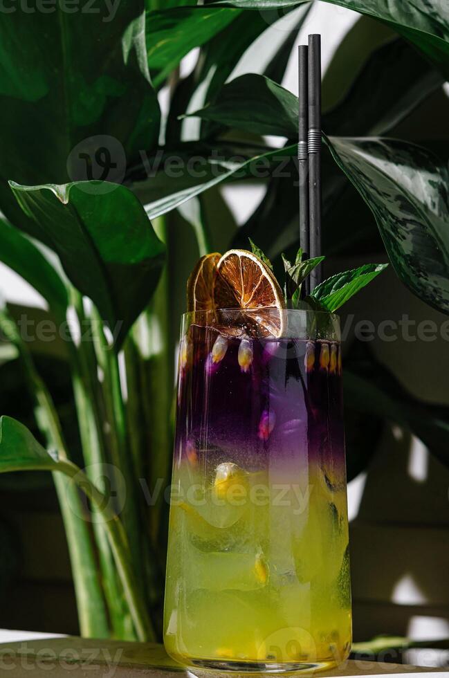 Refreshing purple and green summer cocktail standing near tropical plant photo