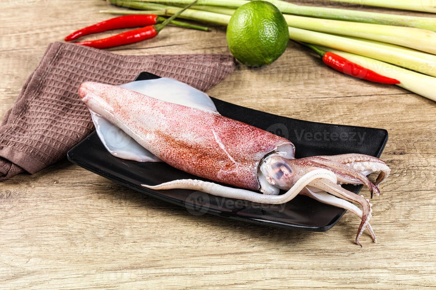 Raw fresh squid for cooking photo