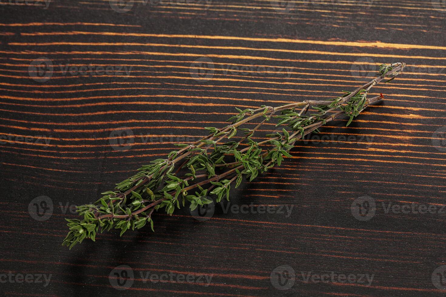 Thyme - aromatic seasoning herbal plant photo