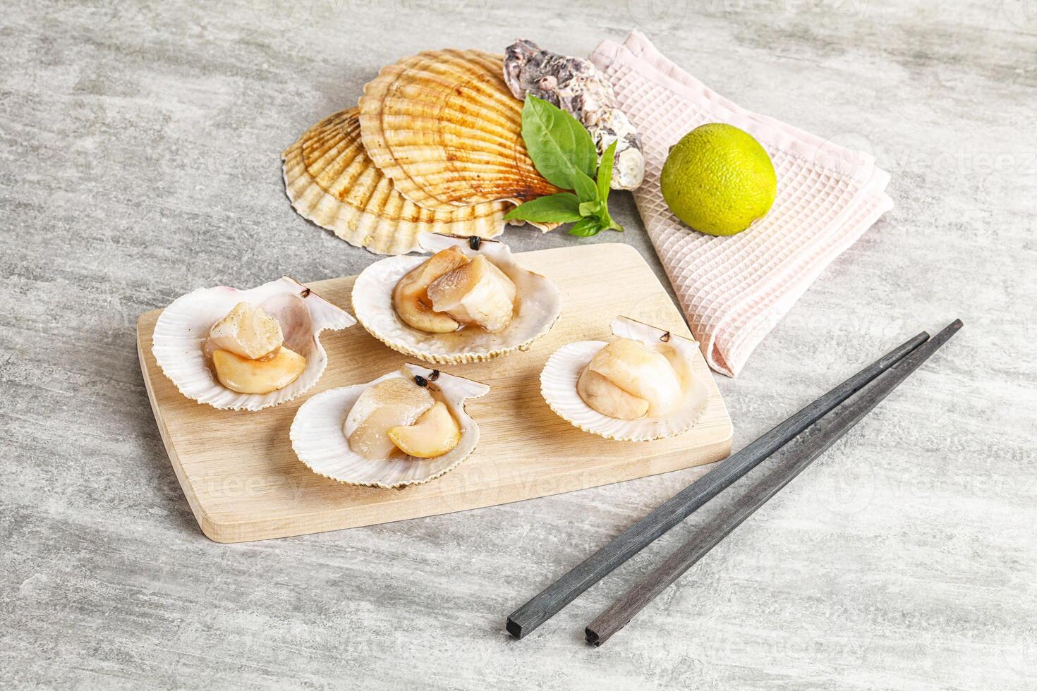 Raw natural scallop in its shell photo