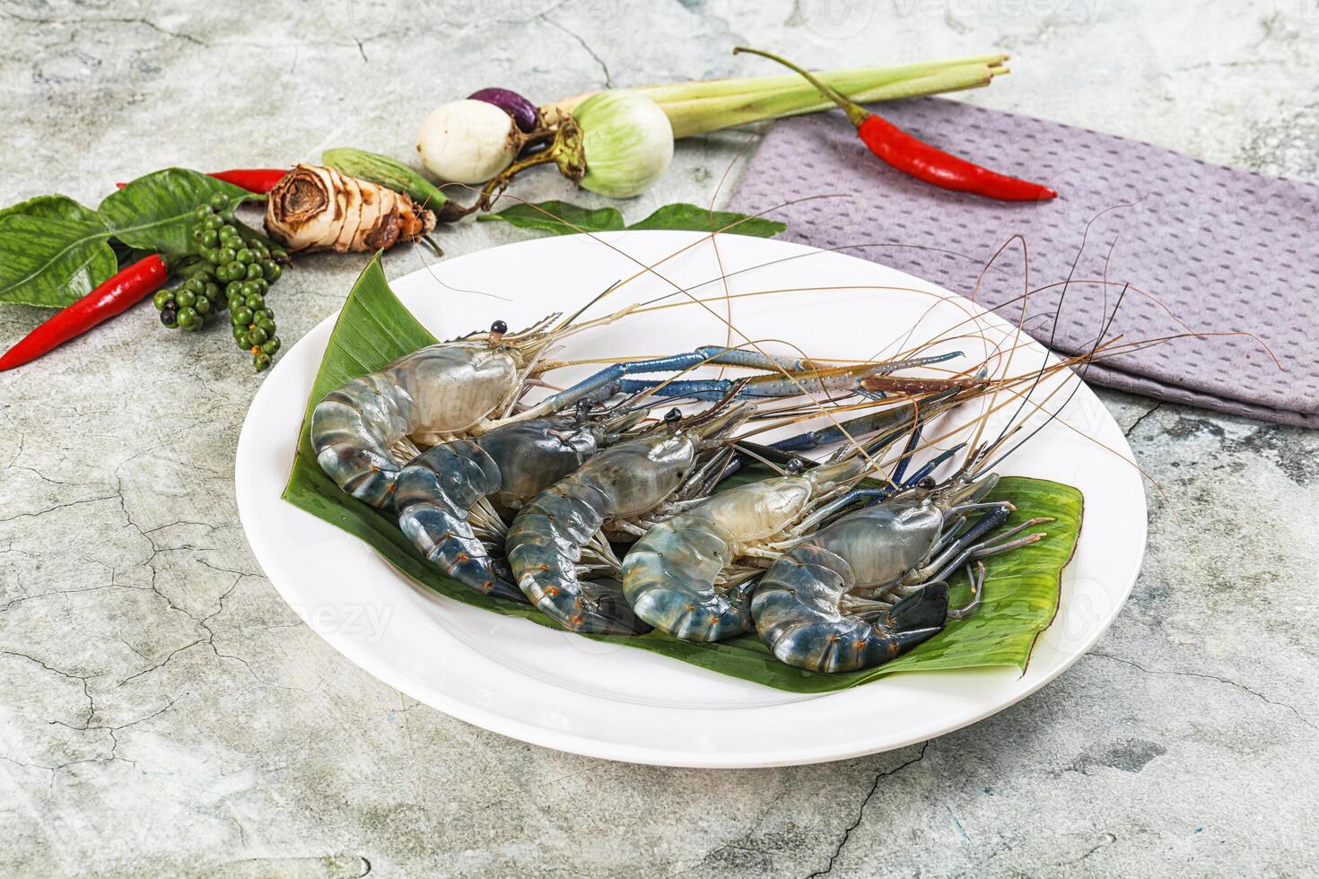 Raw blue river prawn in the plate photo