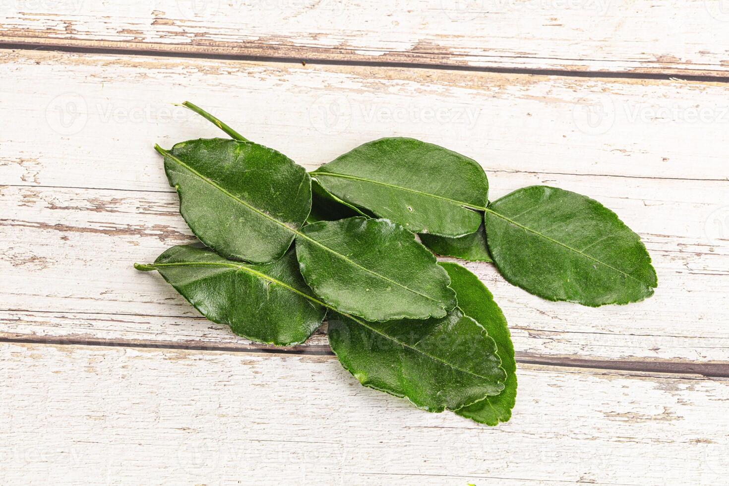 Aroma seasoning kaffir lime leaves photo