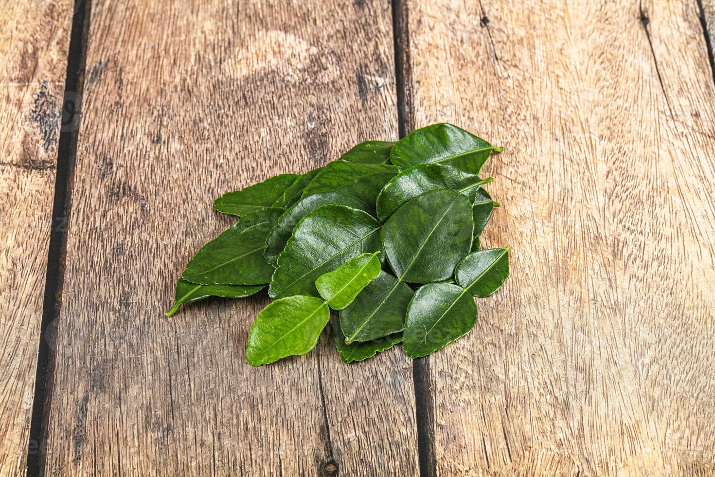 Thai cuisine - Kaffir lime leaves photo