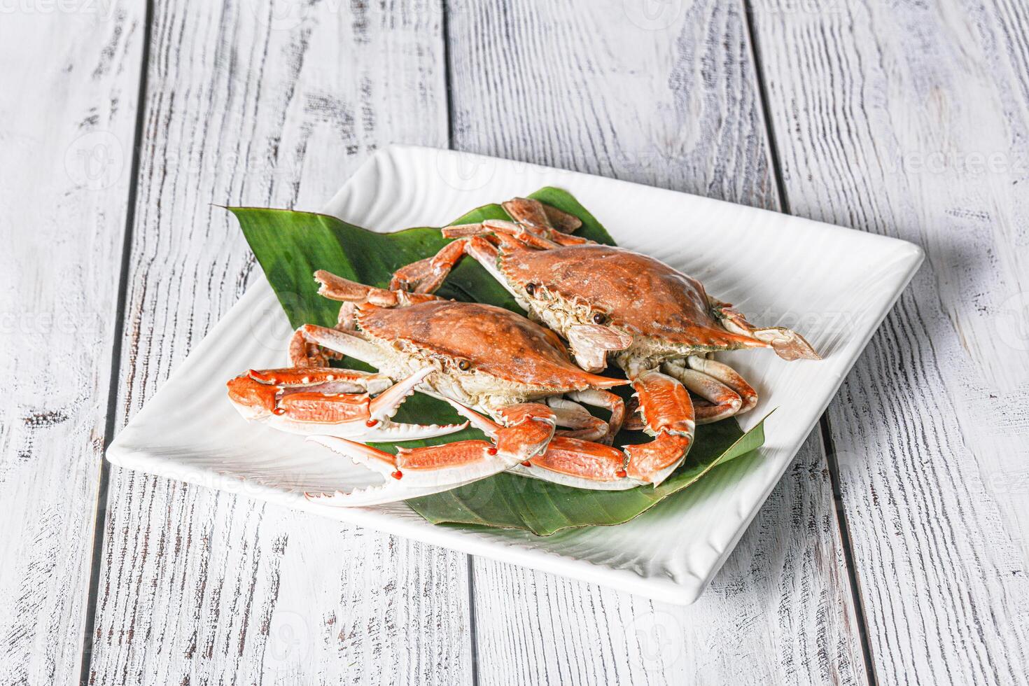 Yummy boiled crab in the plate photo